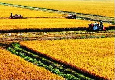高台县节水灌溉技术推广与农业可持续发展(图16)
